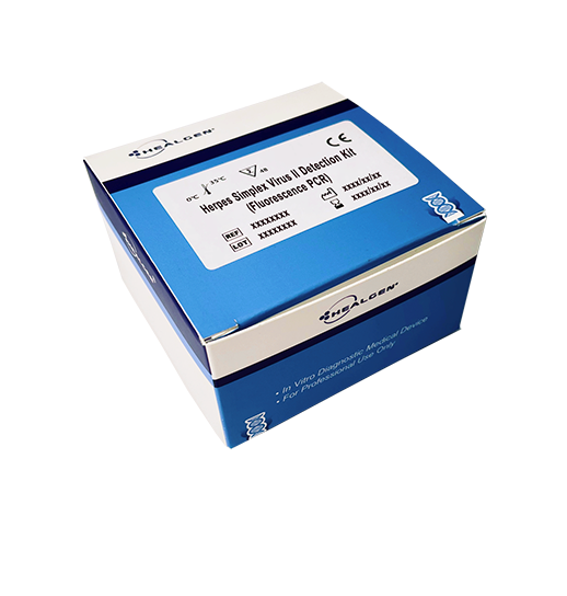Herpes Simplex Virus II Detection